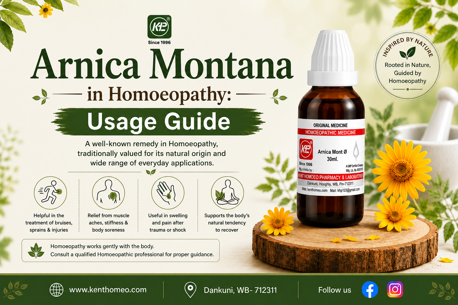 Arnica Montana in Homeopathy: Usage Guide 