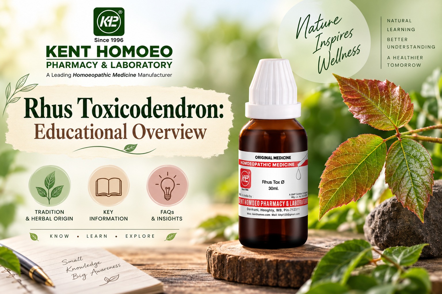 Rhus Toxicodendron: Educational Overview